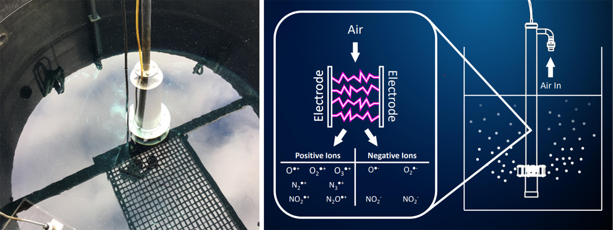 (left) The inside of the te-ion™ and (right) the process inside the ionisation cell which generates reactive oxygen species – Courtesy of Te-Tech Process Solutions