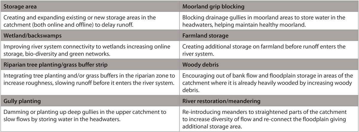 Examples of NFRM measures.