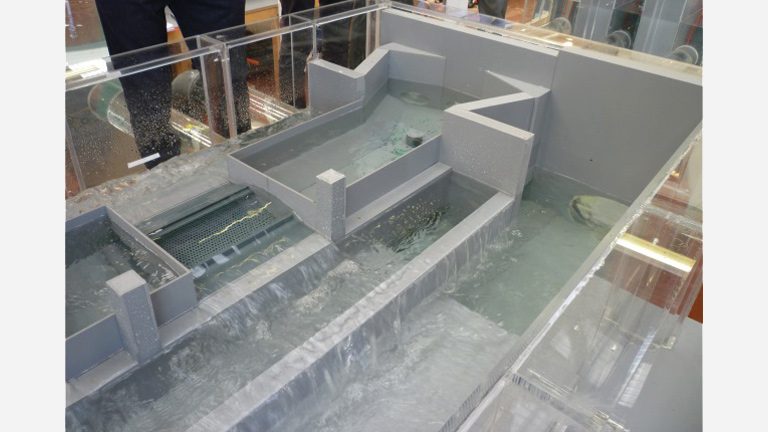 Hydrotec model of CSO operating in 1 in 30 year storm - Courtesy of 4Delivery