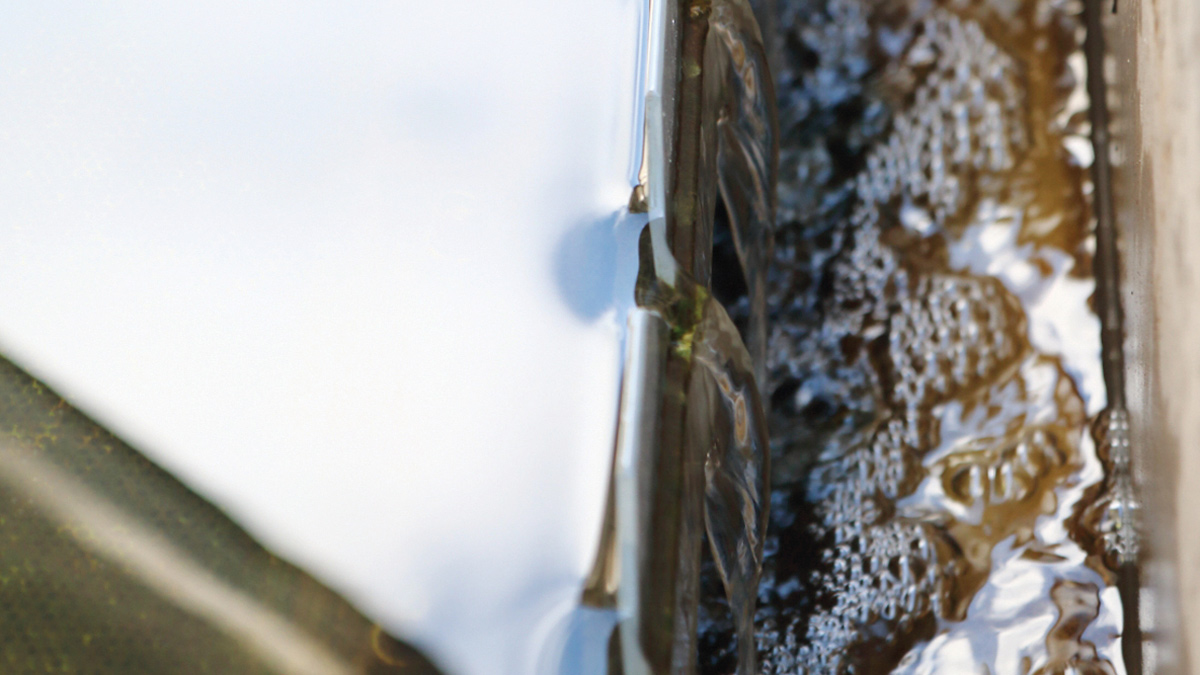 Final effluent - Courtesy of FLI Water