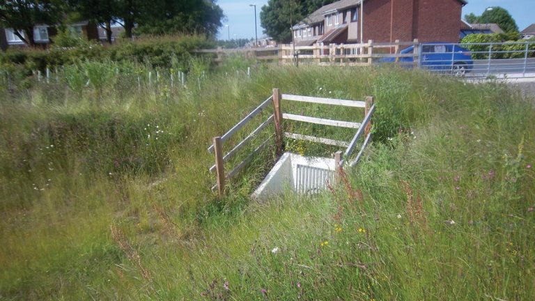 Wildflower meadows make an attractive feature and enhance biodiversity - Courtesy of MWH