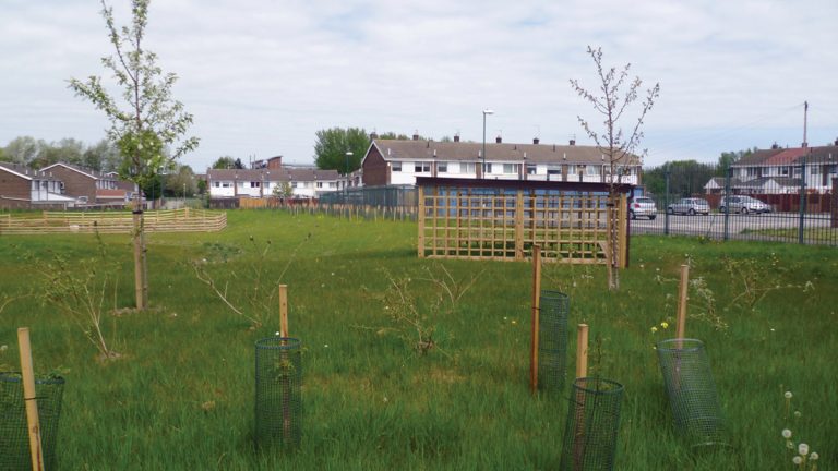 Further benefits were achieved through education sessions and outdoor classroom space - Courtesy of MWH