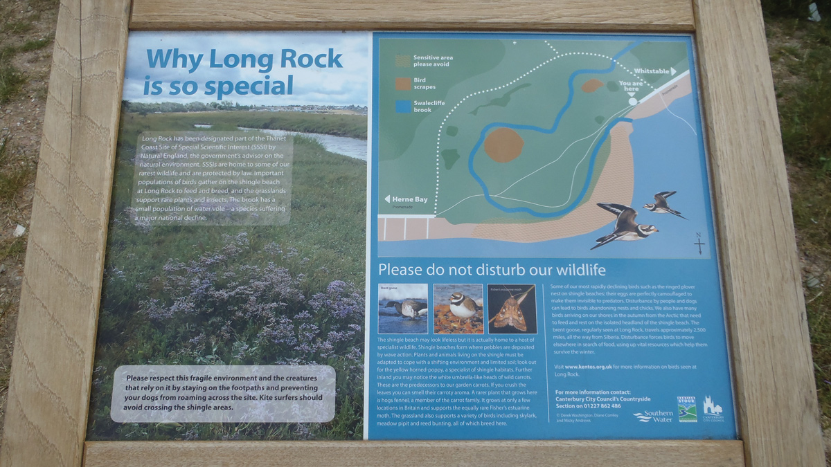 As part of the Thanet Special Site of Scientific Interest (SSSI) Long Rock forms irregular gravel spread on the foreshore to the east of Tankerton and north of Swalecliffe - Courtesy of Mott MacDonald