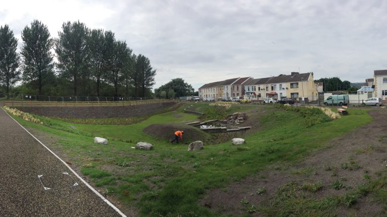 Cambrian Swale - Early stage plant growth - Courtesy of Dŵr Cymru Welsh Water and Morgan Sindall