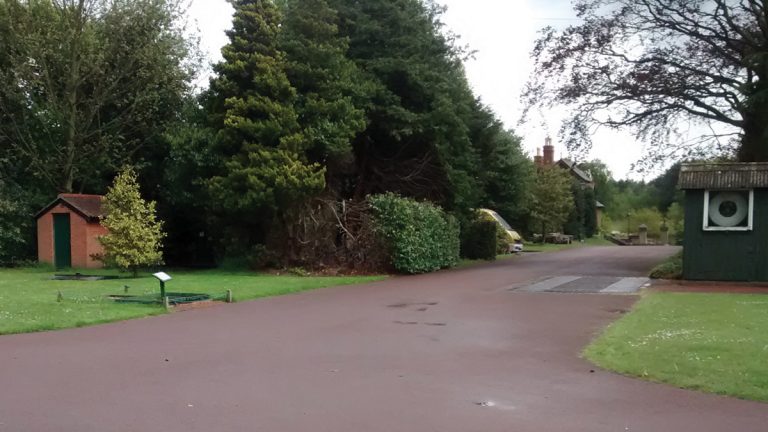 Area of trees before the new UV building was built - Courtesy of NMCNomenca (now Galliford Try)