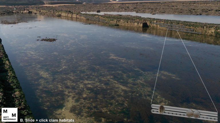 Slide and click clam habitats (Slide mechanisms allow ease of installation) - Courtesy of Mott MacDonald/Southern Water