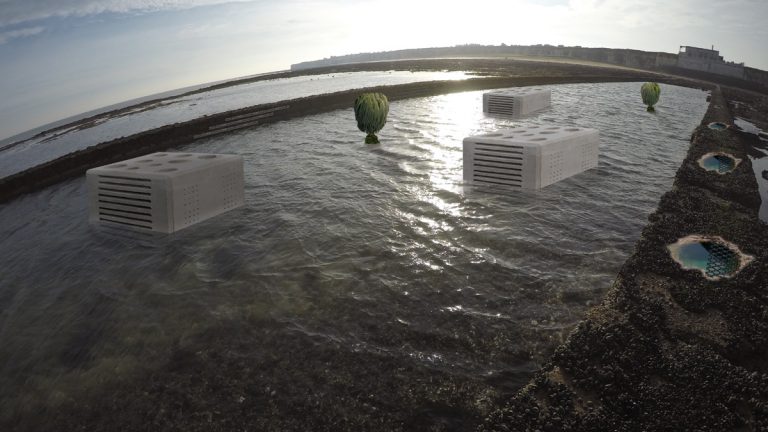 Combined intertidal enhancement visualizations - Courtesy of Mott MacDonald/Southern Water