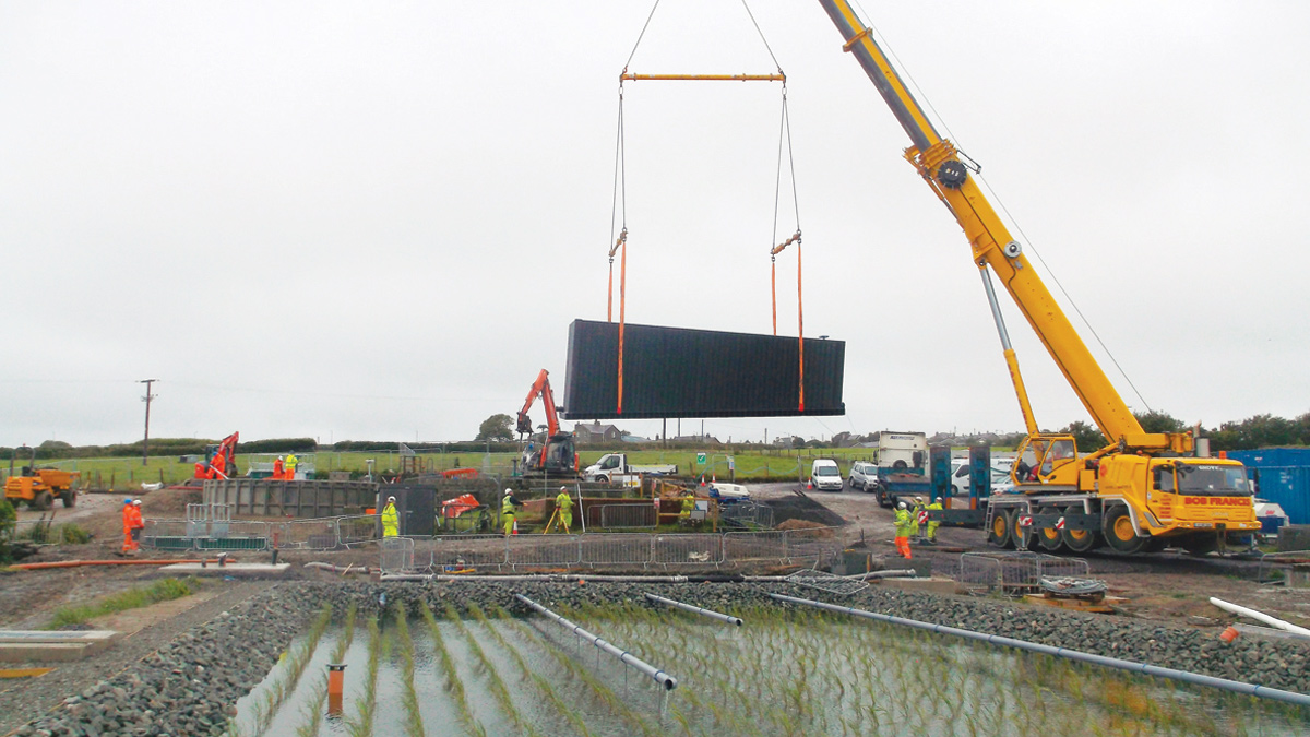 New one piece ‘plug and play’ storm tank and reed bed shortly after planting in foreground - Courtesy of Dawnus Construction