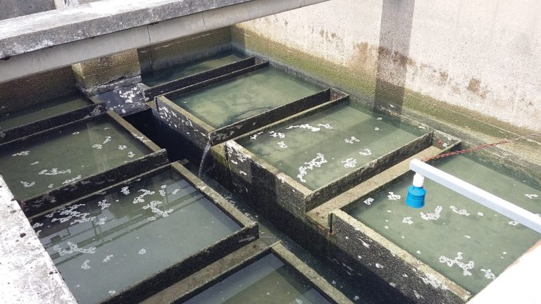 Original RGF weir walls and launders - Courtesy of MMB