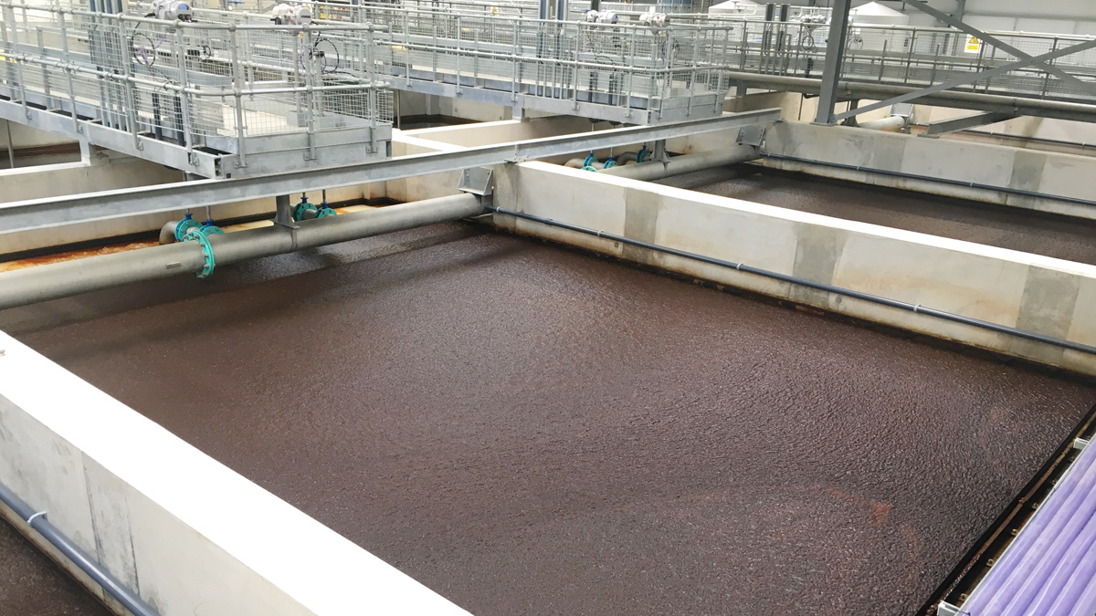 DAF sludge blanket formation - Courtesy of DCWW