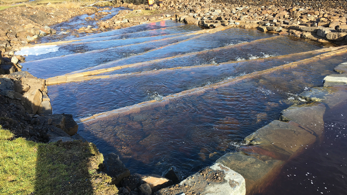 West Allen check weir fish pass - Courtesy of Environment Agency
