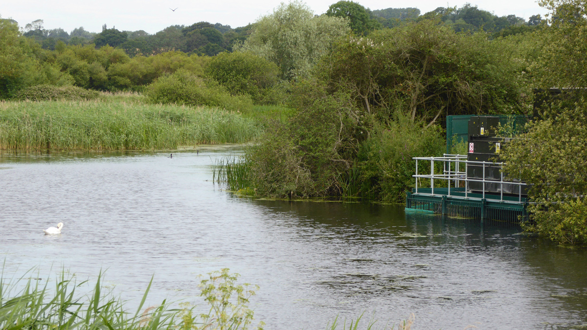 One year on, blending in with nature - Courtesy of NWG