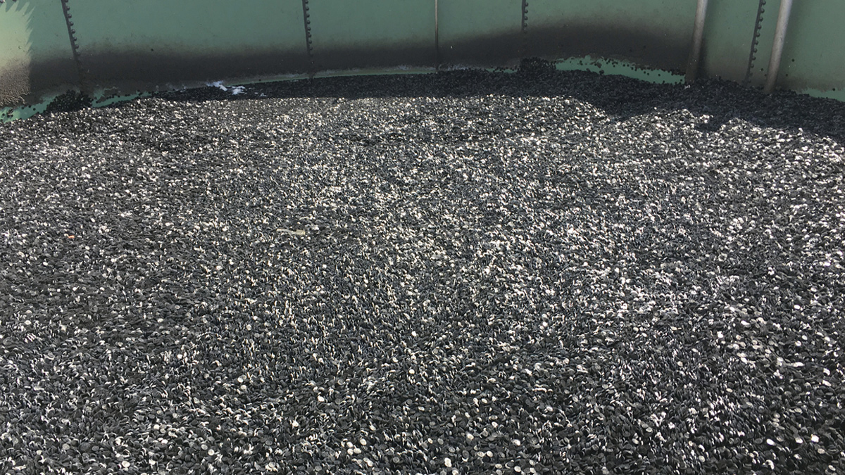 A view of the inside of the MBBR bioreactors, filled with specially designed plastic media - Courtesy of Severn Trent
