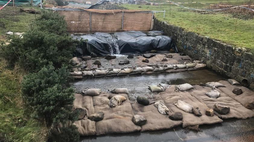 Silt mitigation measures - Courtesy of MMB