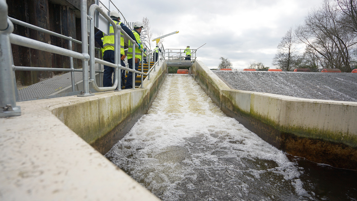 Jordans Dam fish pass - Courtesy of Ward and Burke
