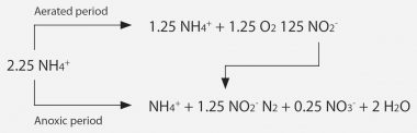 Figure showing the reactions occurring in the Demon® reactor
