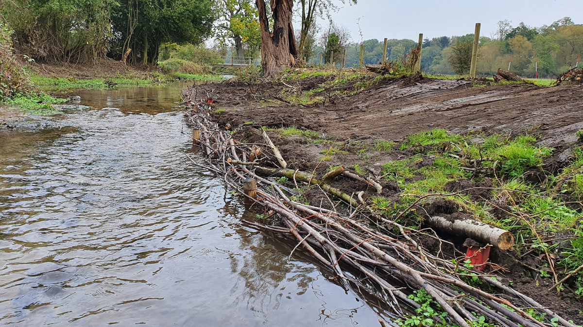 Figure 5: Constructed in-channel berm with hazel fascines lining the front of the structure - Courtesy of Affinity Water