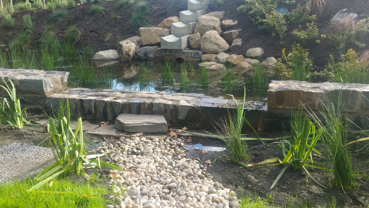 Dafen Primary School Bioswale, Inlet Forebay - Courtesy of Arup