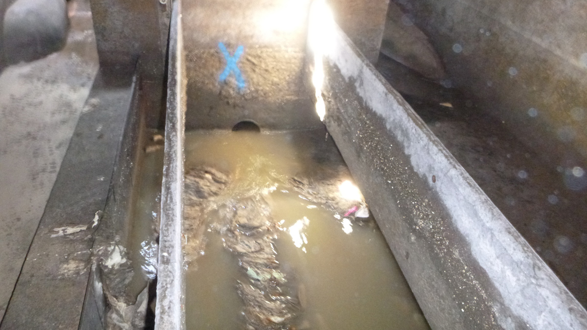 Existing CSO internal arrangement showing outgoing pipe - Courtesy of Spatial Geomatics