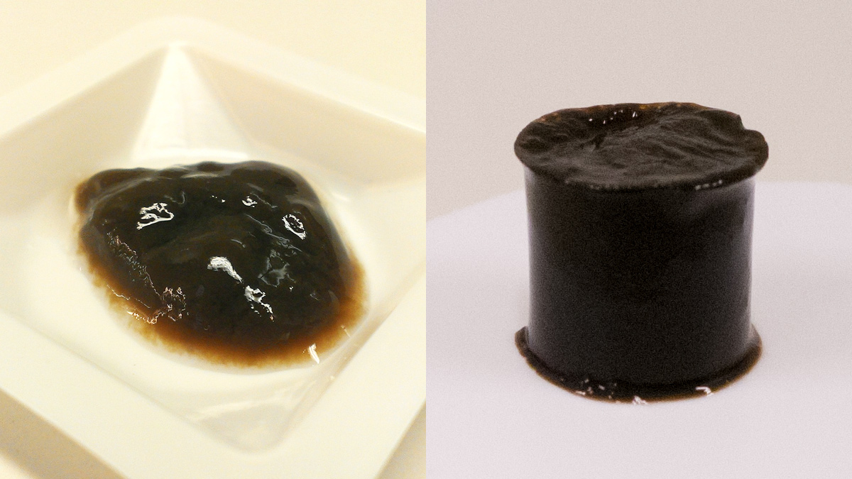 Extracted acidic EPS hydrogel = Kaumera Nereda Gum - Courtesy of Royal HaskoningDHV