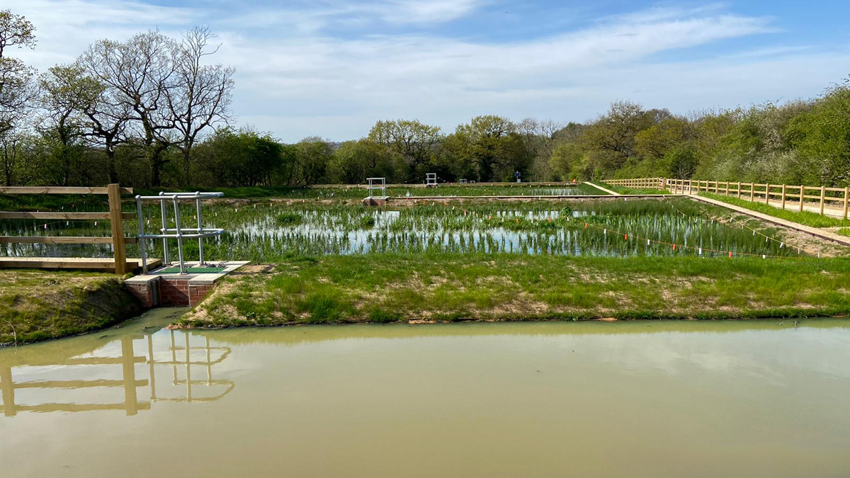 Ponds with plants and grasses beginning to grow - Courtesy of BarhaleDoosan JV, Stantec UK & Yorkshire Water