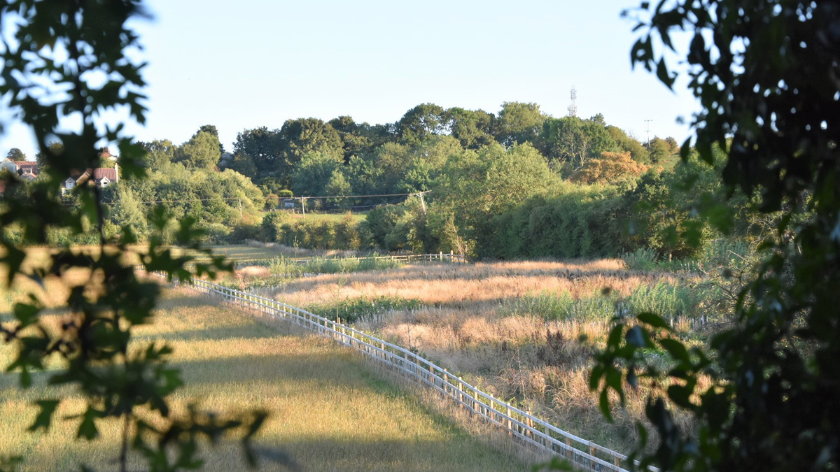The habitat area created as part of the project - Courtesy of BarhaleDoosan JV, Stantec UK & Yorkshire Water