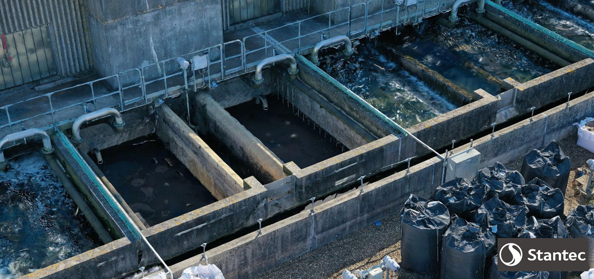 Screenshot from the model detail on the handrail and air pipes inside the filter can be seen - Courtesy of Stantec UK