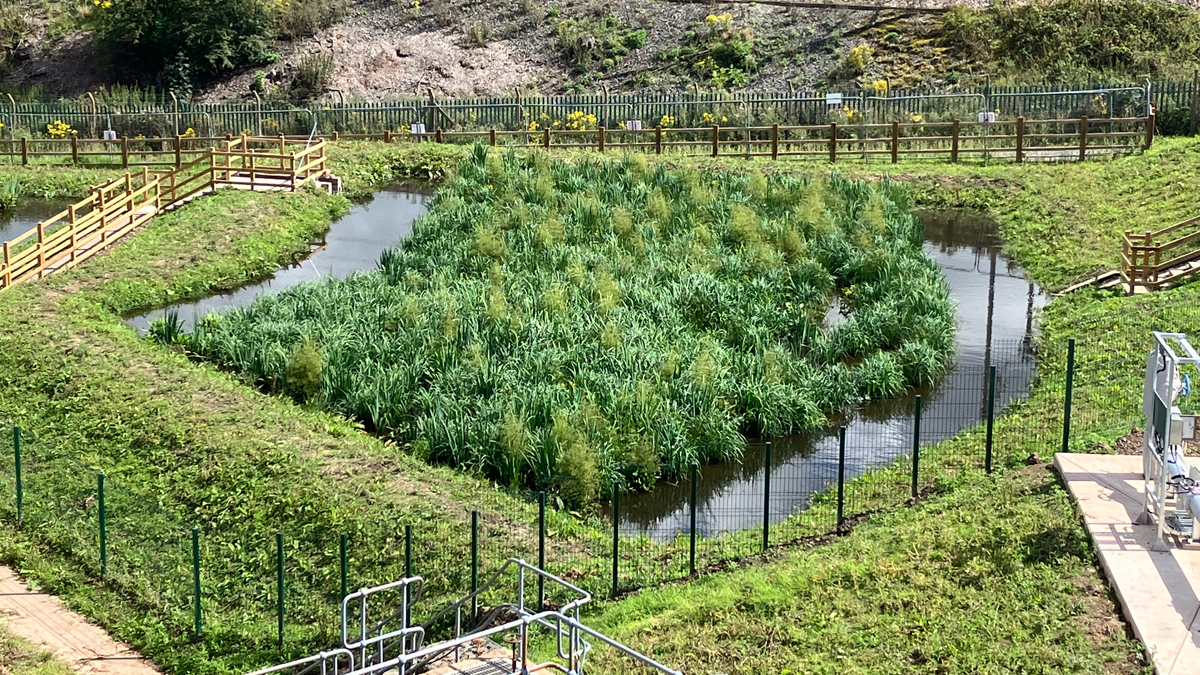 Cell 1: June 2022 - Courtesy of Advance-plus