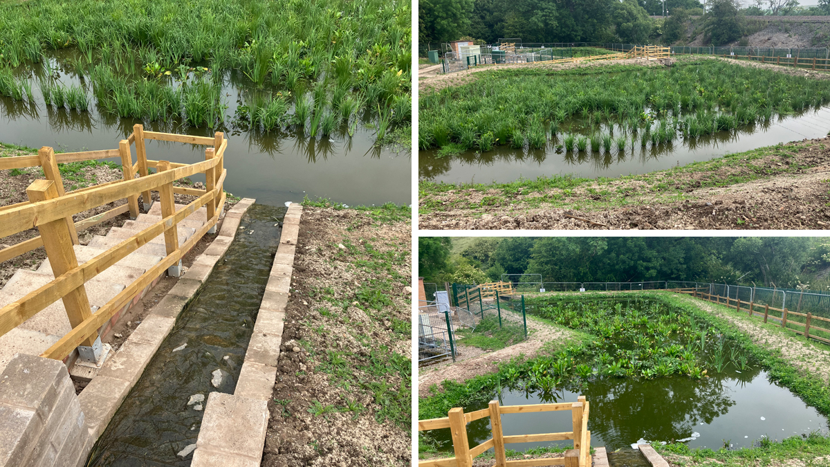 Southwaite WwTW: Integrated wetland - Pond 1 - Courtesy of Courtesy of Advance-plus