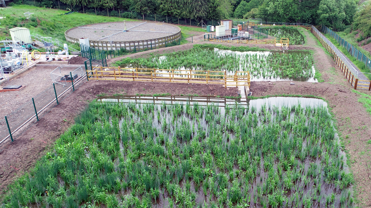 Overview of ponds after 3 months: June 2022 - Courtesy of Advance-plus