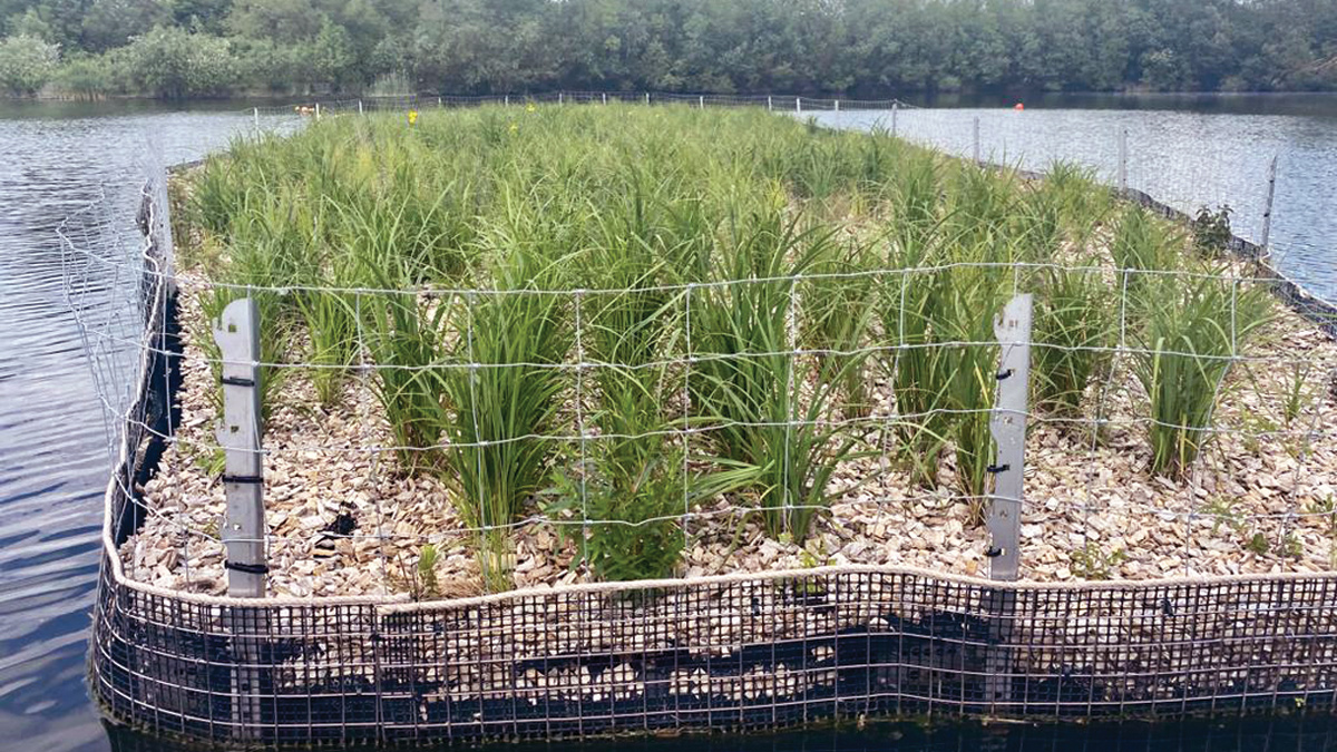 Floating reedbed - Courtesy of Severn Trent & Biomatrix