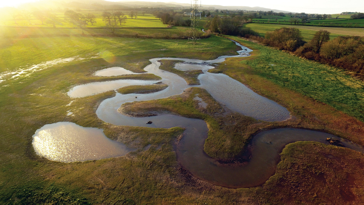 New Durleigh wetland - Courtesy of Wessex Water
