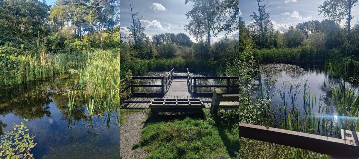 Tophill Low Nature Reserve - Courtesy of Barhale Enpure JV