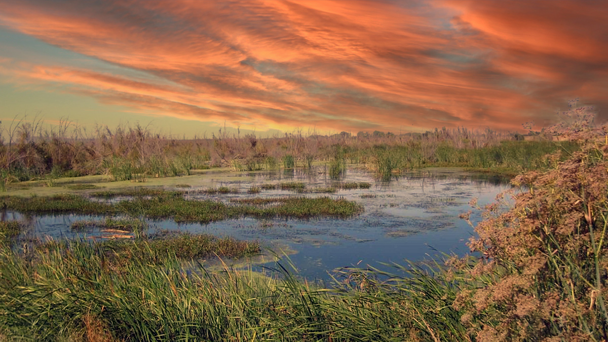 AtkinsRealis Stantec JV wins place on Thames Water Technical Partner Framework